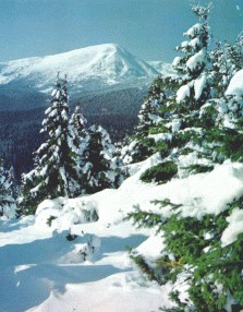 Карпати